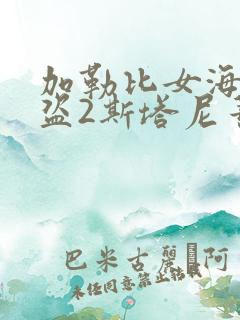 加勒比女海盗海盗2斯塔尼蒂的复仇