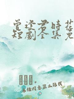 曾逢君时花照眼短剧全集免费看