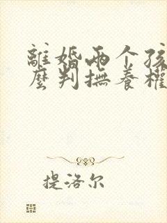 离婚两个孩子怎么判抚养权 离婚两个孩子怎么判抚养权