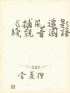 《捕风追影》在线观看国语