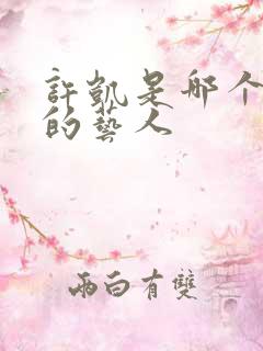 许凯是哪个公司的艺人