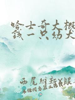 哈士奇大概多少钱一只幼犬
