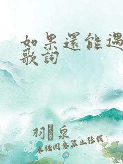 如果还能遇见你歌词