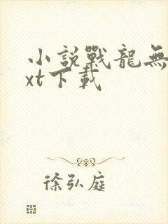 小说战龙无双txt下载