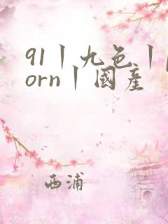 91丨九色丨porn丨国产