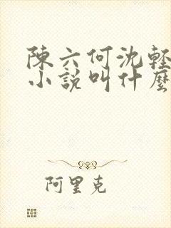 陈六何沈轻舞的小说叫什么名字