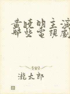 黄晓明主演的有哪些电视剧