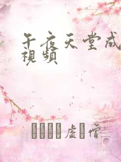 午夜天堂成人小视频