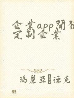 企业app开发定制企业