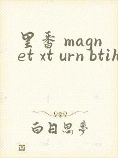 里番 magnet xt urn btih