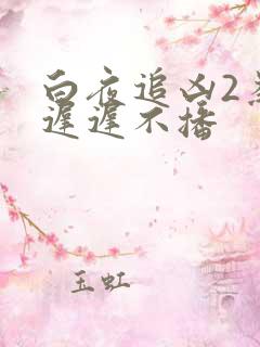 白夜追凶2为何迟迟不播
