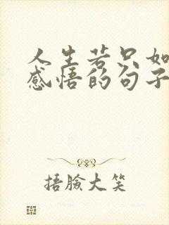 人生若只如初见感悟的句子