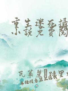重生迷死摄政王小说免费阅读