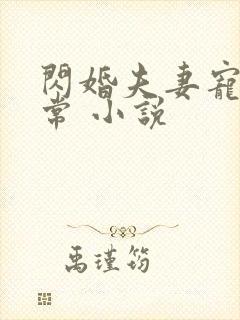 闪婚夫妻宠娃日常 小说