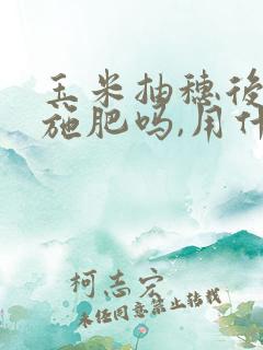 玉米抽穗后还能施肥吗,用什么肥料比较好?