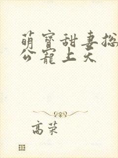 萌宝甜妻总裁老公宠上天