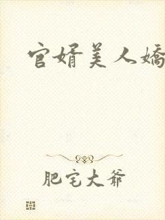 官婿美人娇 官婿美人娇