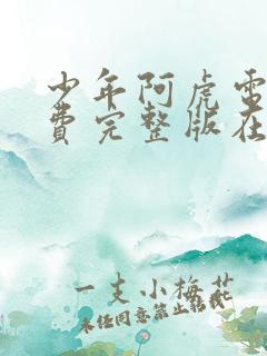 少年阿虎电影免费完整版在线观看 少年阿虎电影免费完整版在线观看