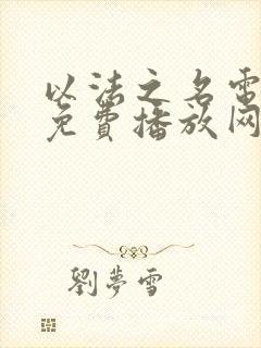 以法之名电视剧免费播放网站