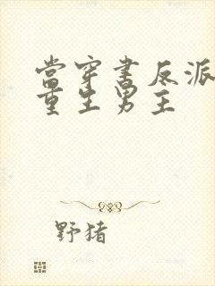当穿书反派遇上重生男主