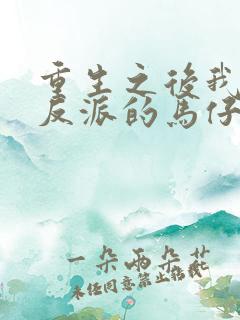 重生之后我成了反派的马仔