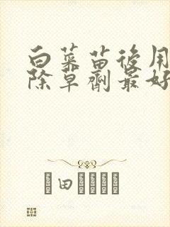 白菜苗后用什么除草剂最好