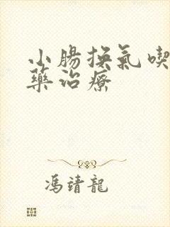 小肠换气吃什么药治疗