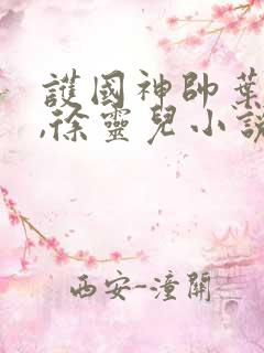 护国神帅叶无道,徐灵儿小说免费阅读
