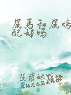 属马和属鸡的婚配好吗