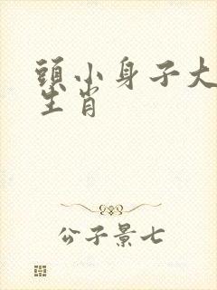 头小身子大打一生肖