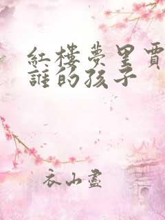 红楼梦里贾瑞是谁的孩子