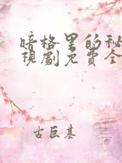 暗格里的秘密电视剧免费全集