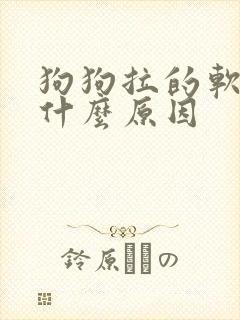 狗狗拉的软便是什么原因