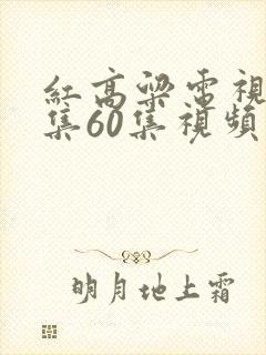 红高粱电视剧全集60集视频