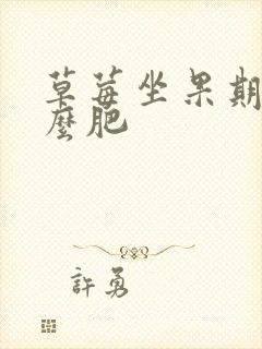 草莓坐果期用什么肥 草莓坐果期用什么肥