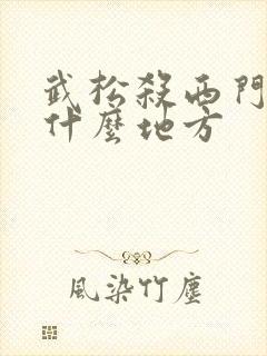武松杀西门庆在什么地方