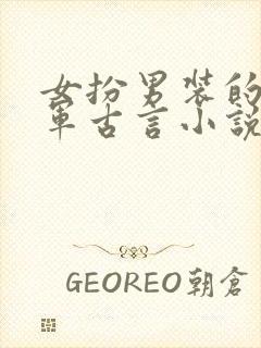 女扮男装的女将军古言小说