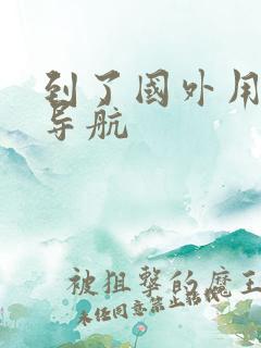 到了国外用什么导航
