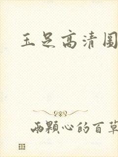 玉足高清图片