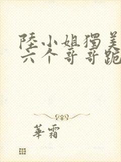 陆小姐独美后,六个哥哥跪求原谅小说 陆小姐独美后,六个哥哥跪求原谅小说