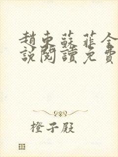 赵东苏菲全集小说阅读免费都市潜龙