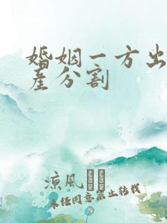婚姻一方出轨财产分割