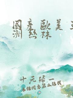 国产 欧美 亚洲 丝袜