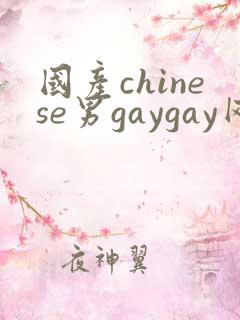 国产chinese男gaygay网站