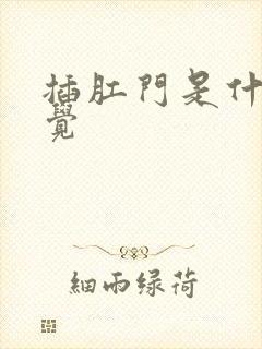 插肛门是什么感觉