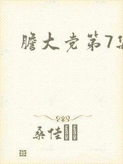 胆大党第7集