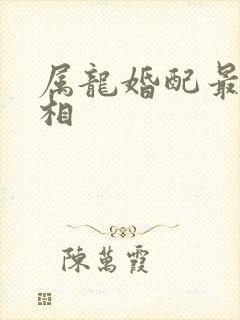 属龙婚配最佳属相