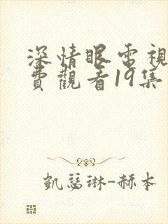 深情眼电视剧免费观看19集