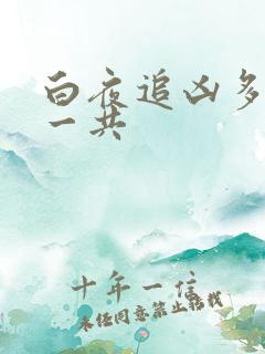 白夜追凶多少集一共