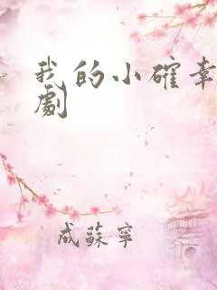 我的小确幸连续剧
